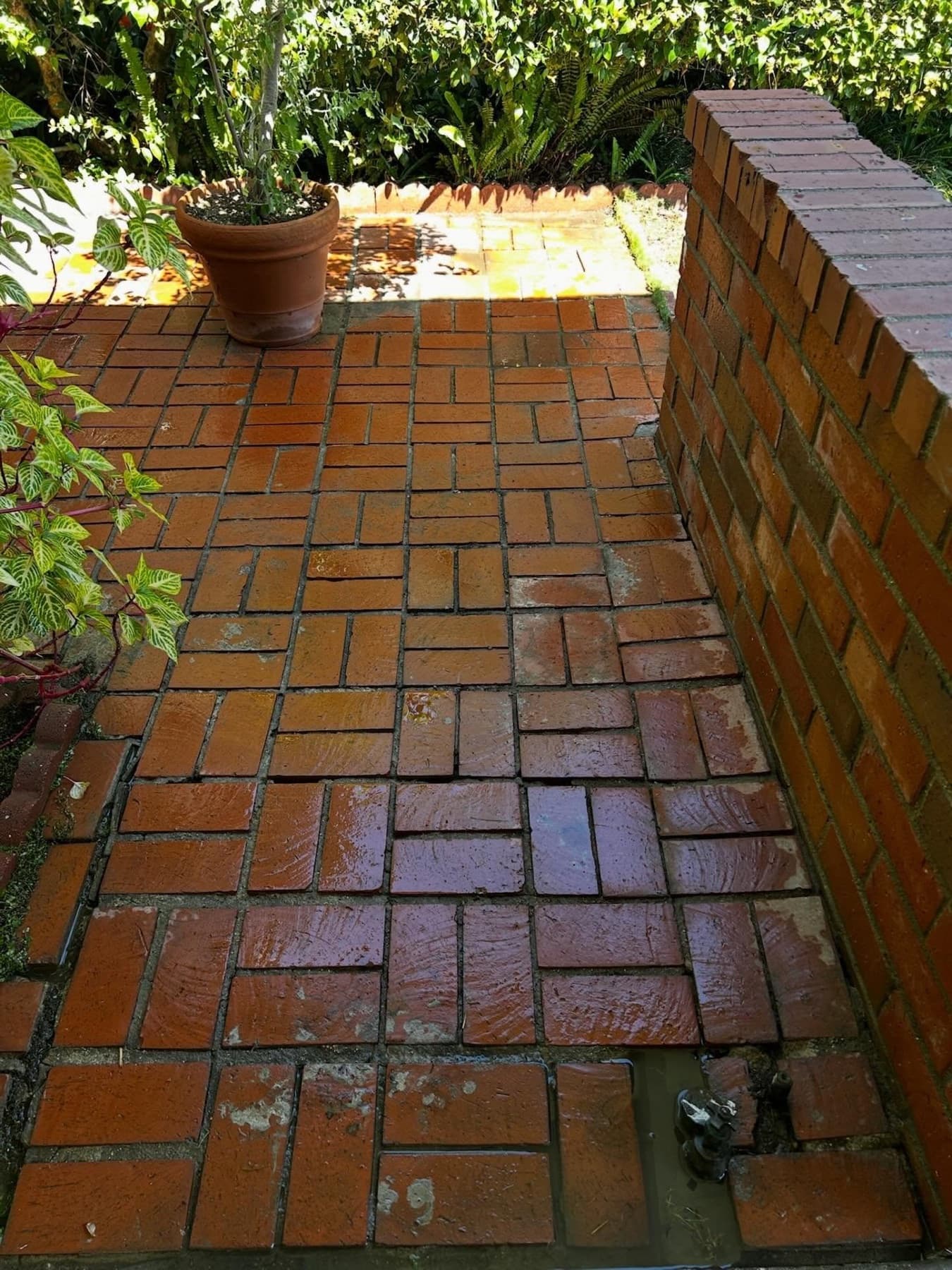 The same brick paver patio after cleaning, color fully restored