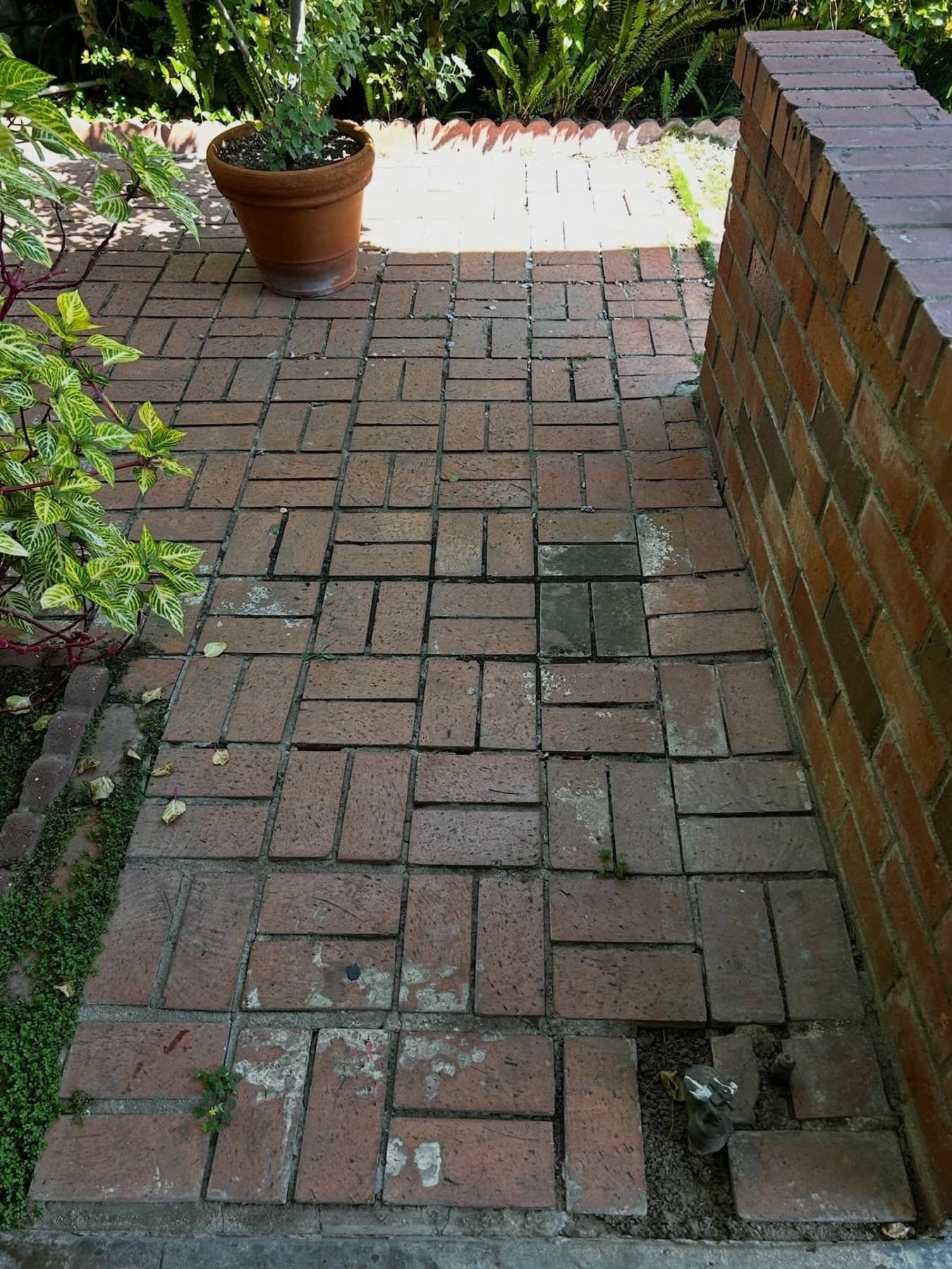 Brick paver patio before cleaning, grimy with weeds in the joints, Huntington Beach