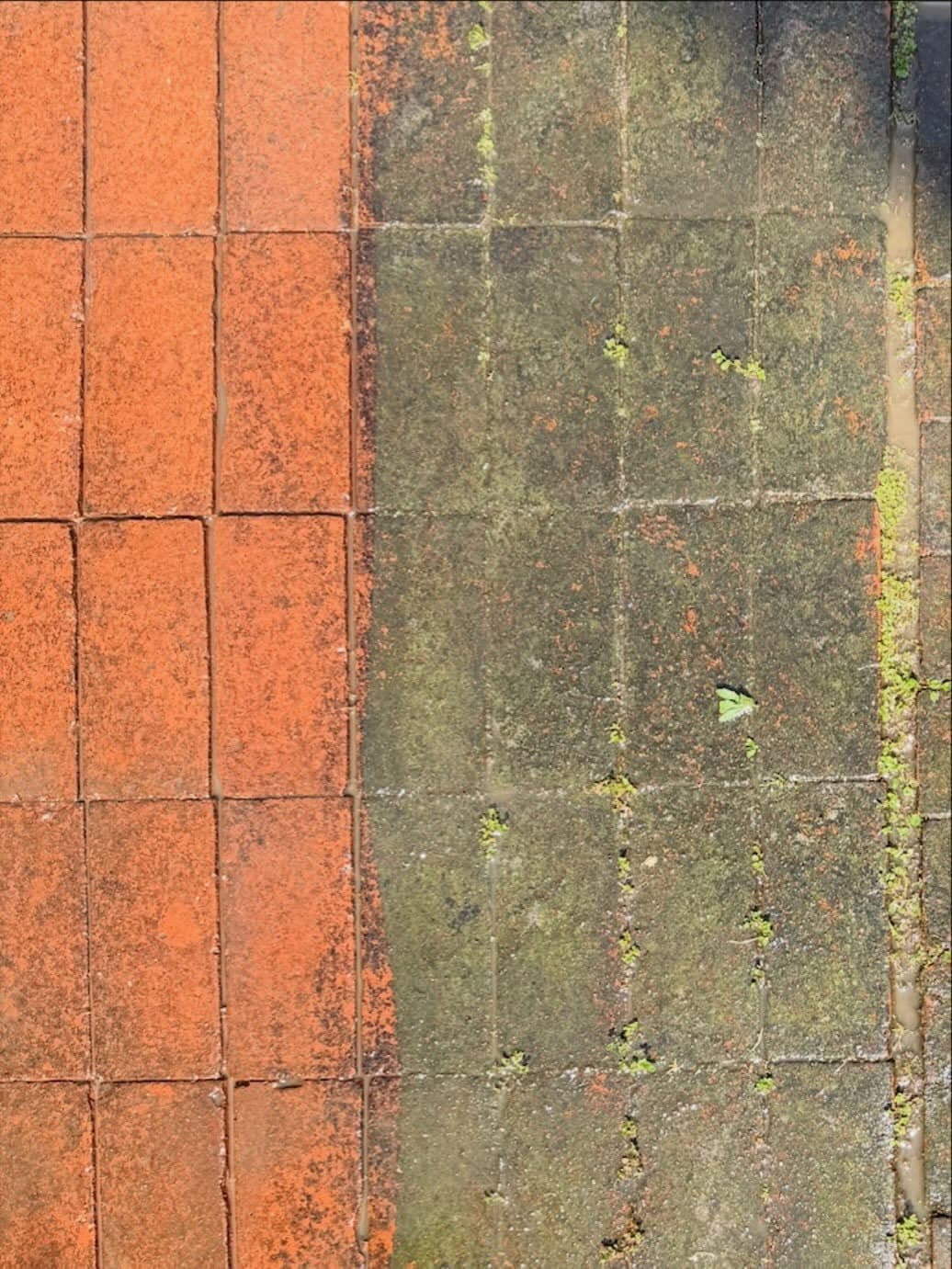 Overhead view of a paver walkway mid-cleaning, the restored side vivid next to the untouched mossy side